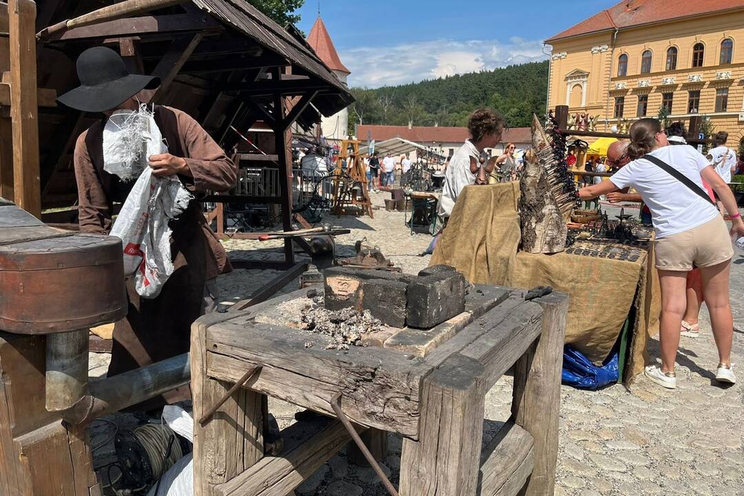 FOTO: 32. ročník festivalu EĽRO, foto 13