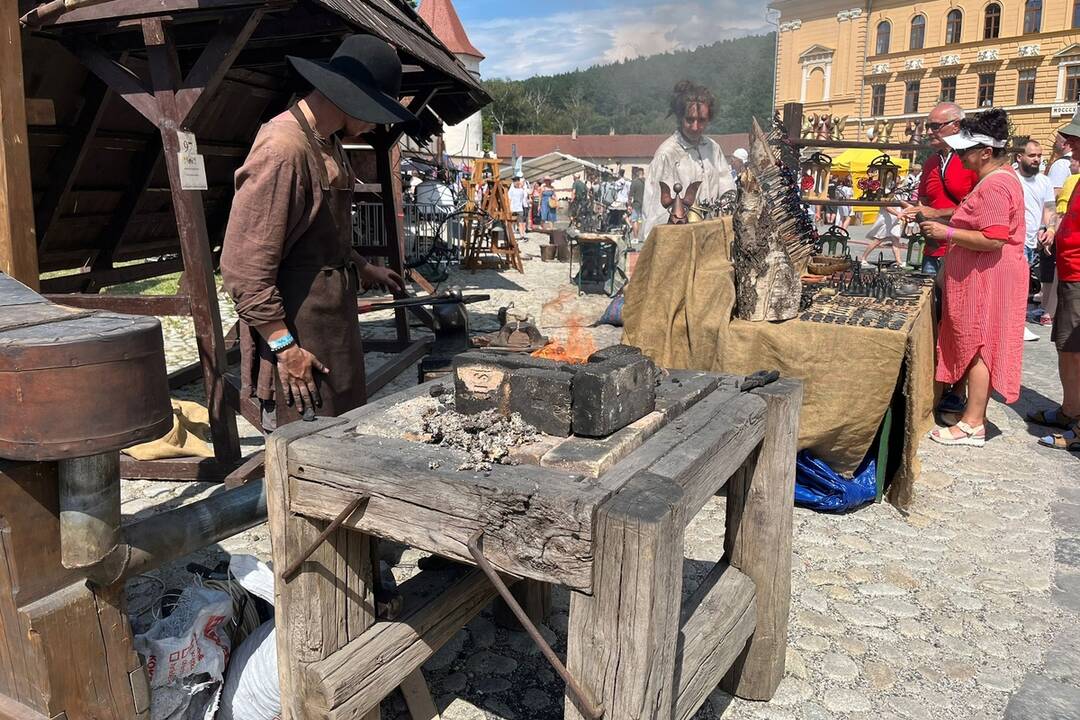 FOTO: 32. ročník festivalu EĽRO, foto 14