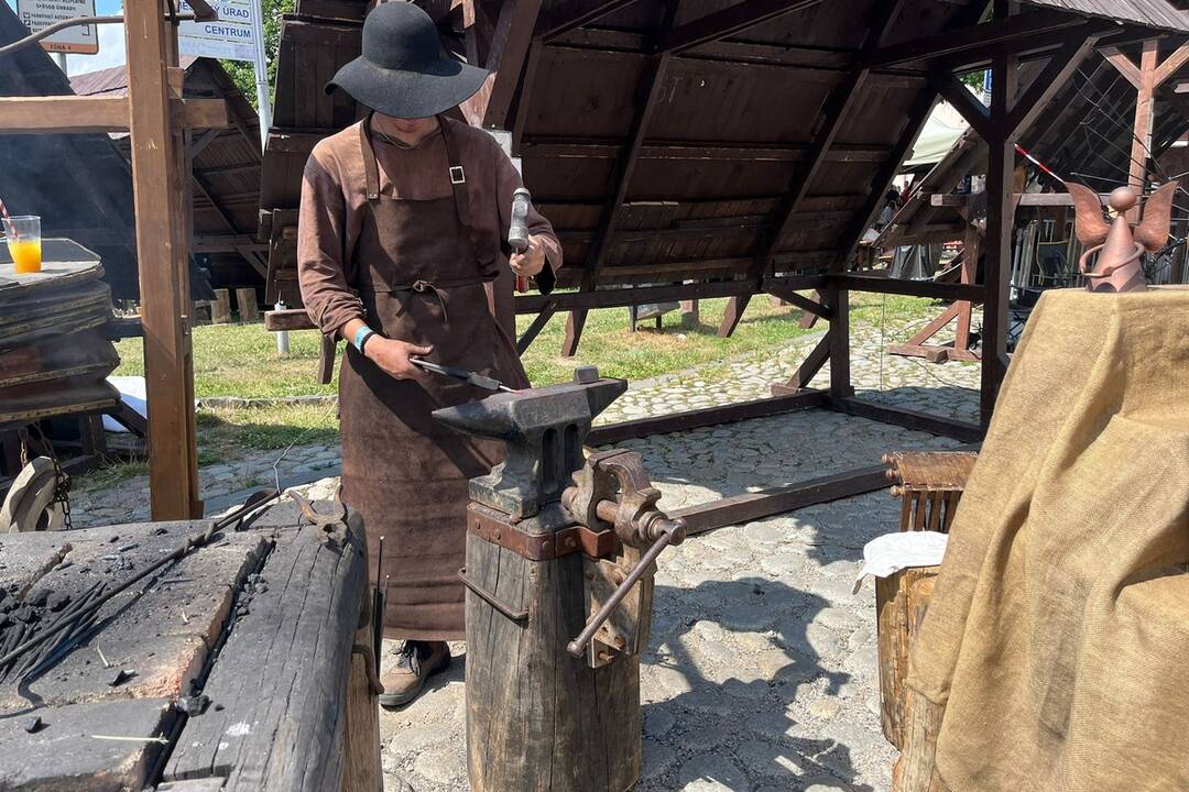 FOTO: 32. ročník festivalu EĽRO, foto 16