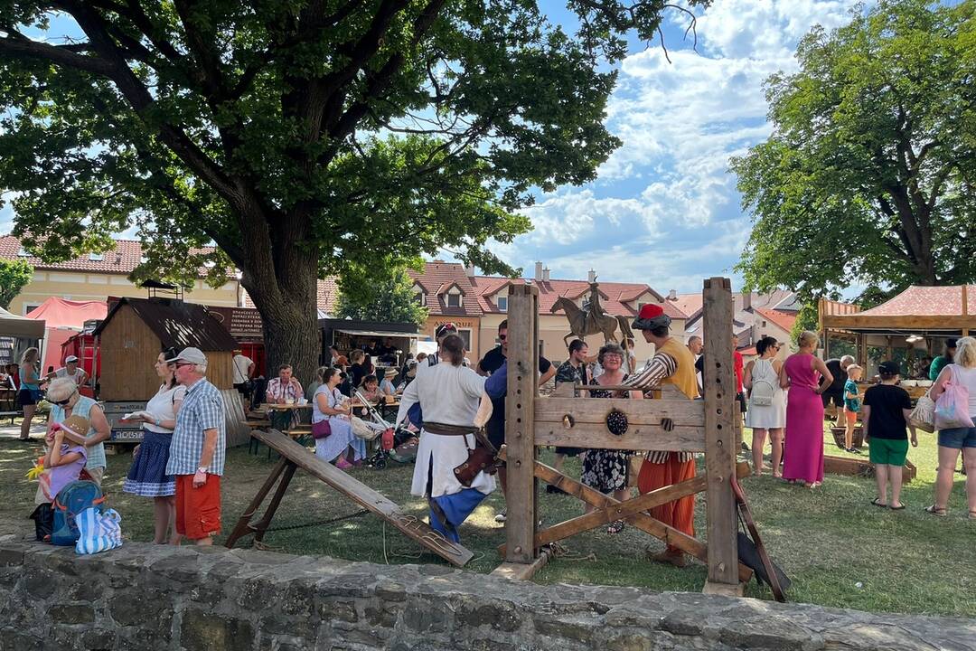 FOTO: 32. ročník festivalu EĽRO, foto 20