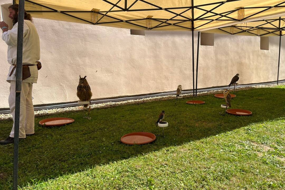 FOTO: 32. ročník festivalu EĽRO, foto 27