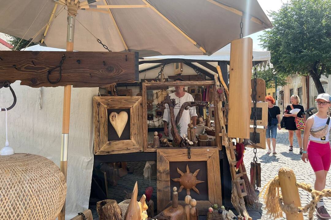 FOTO: 32. ročník festivalu EĽRO, foto 31