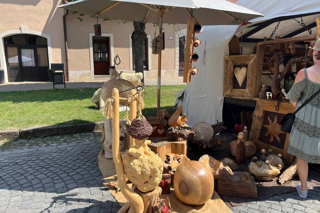 FOTO: 32. ročník festivalu EĽRO, foto 34