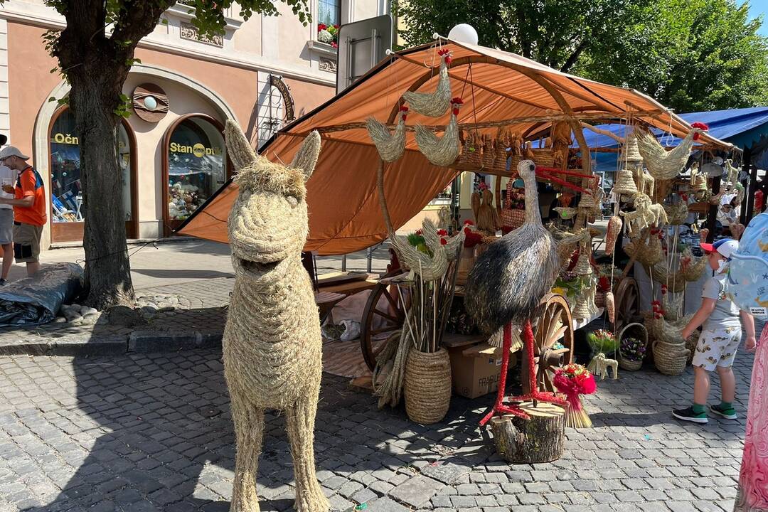 FOTO: 32. ročník festivalu EĽRO, foto 45