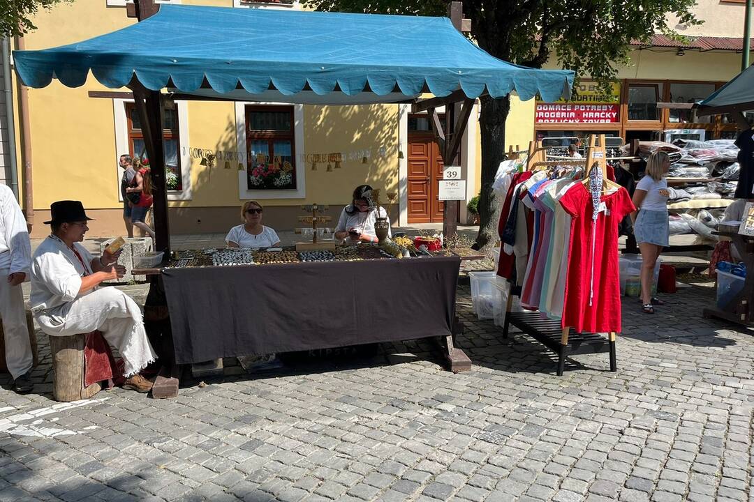 FOTO: 32. ročník festivalu EĽRO, foto 46