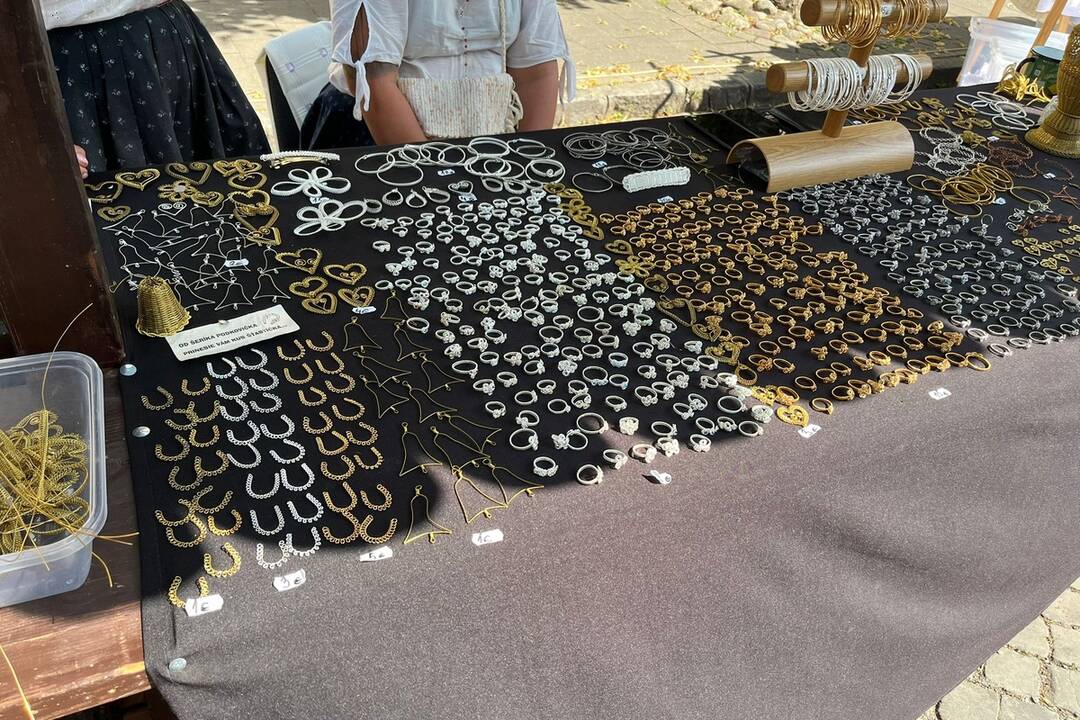 FOTO: 32. ročník festivalu EĽRO, foto 47