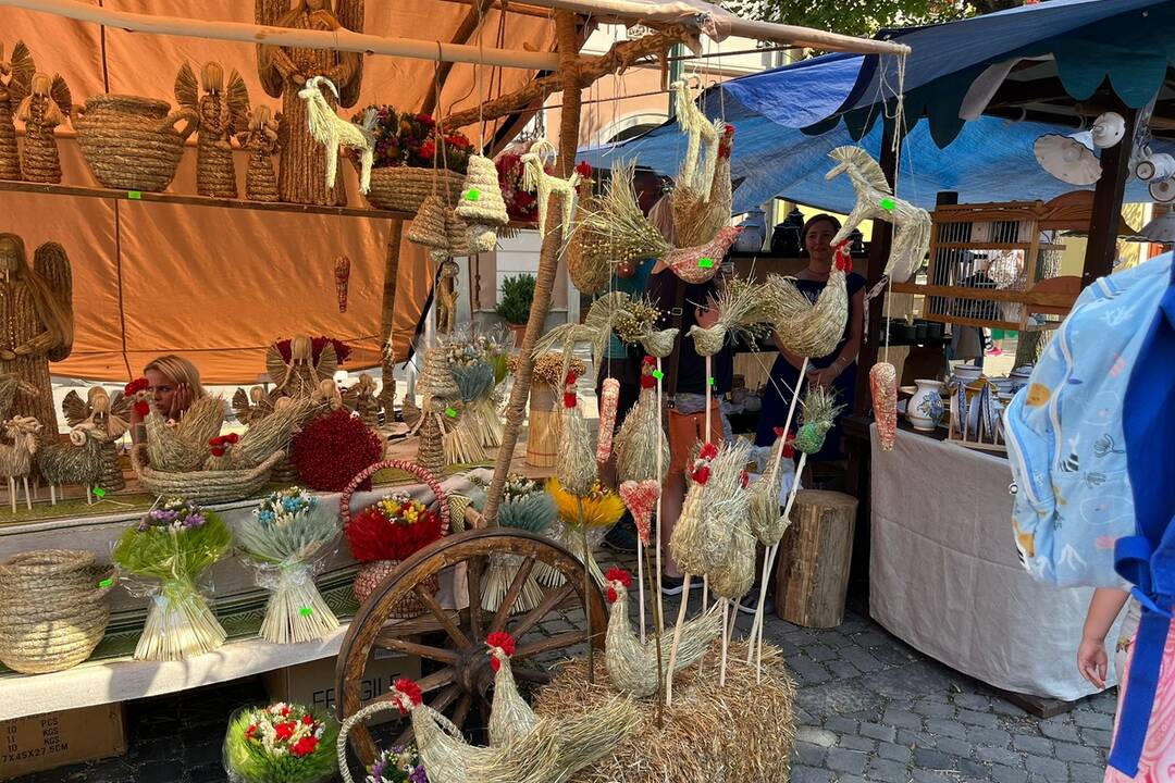 FOTO: 32. ročník festivalu EĽRO, foto 49