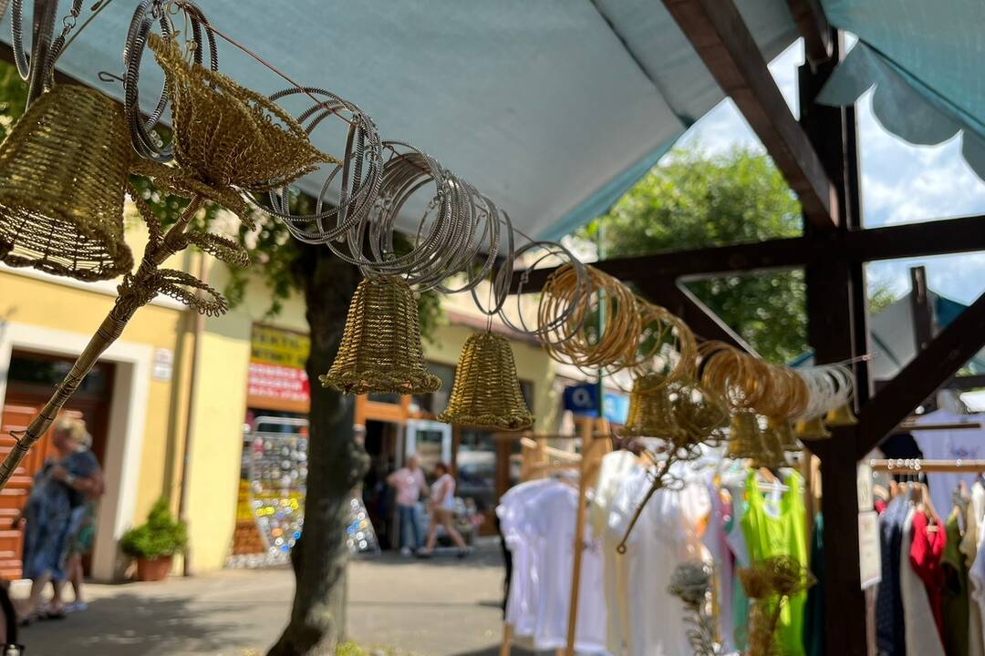 FOTO: 32. ročník festivalu EĽRO, foto 51