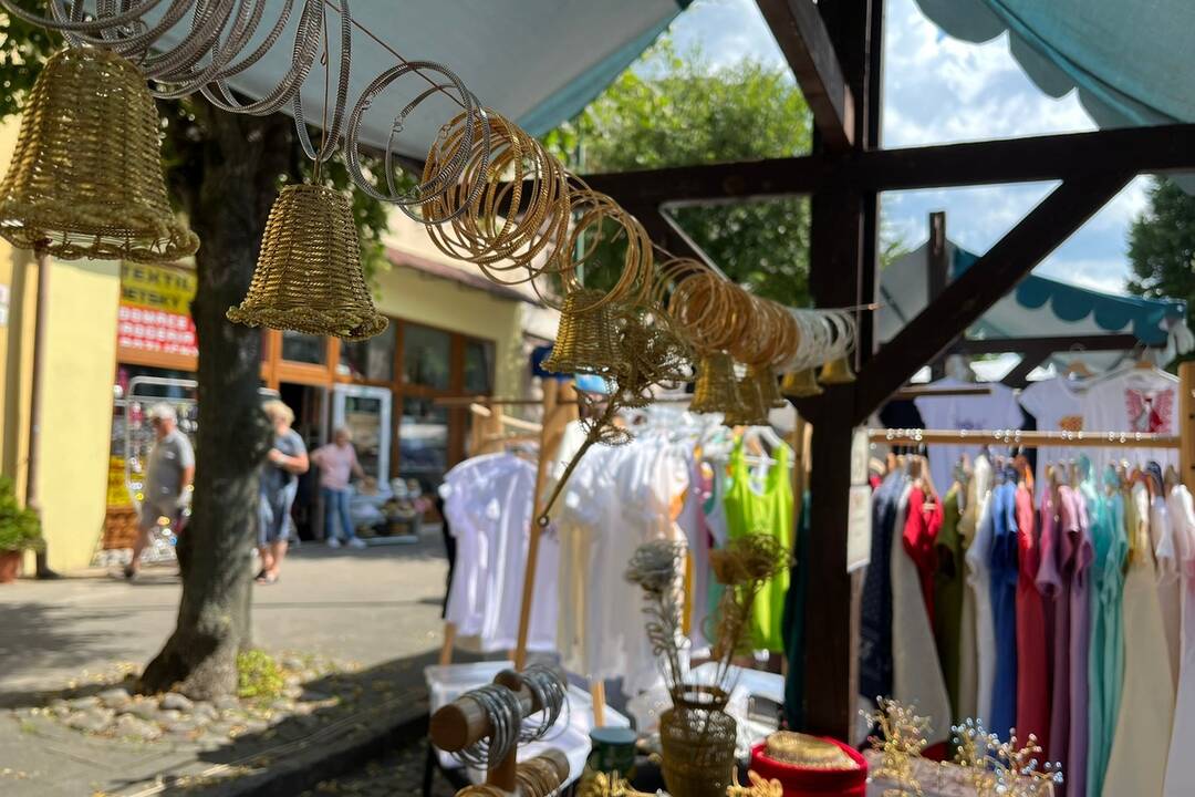 FOTO: 32. ročník festivalu EĽRO, foto 54