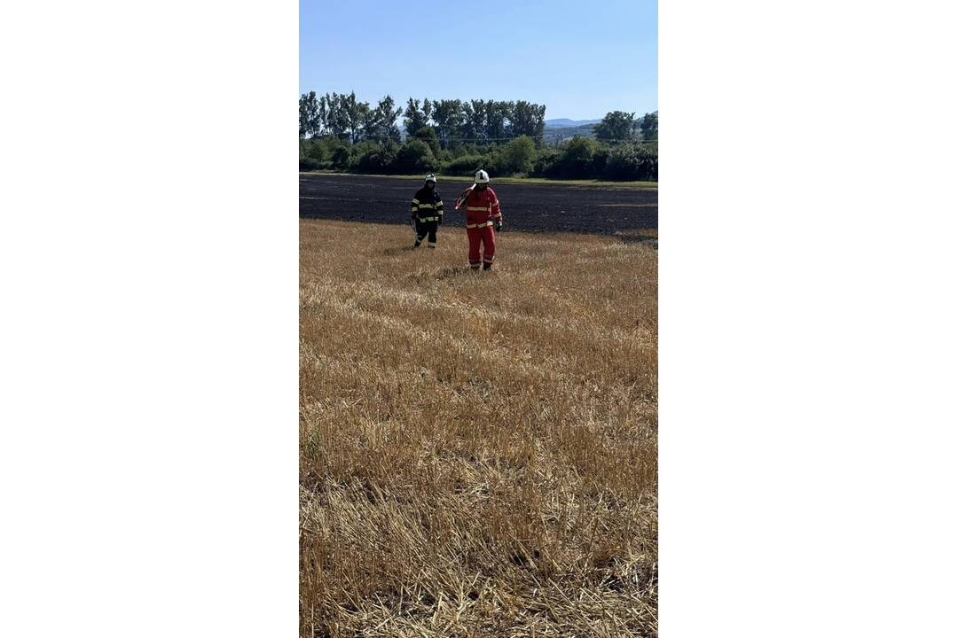 FOTO:  V obci Petrovany došlo k požiaru suchého porastu, foto 2