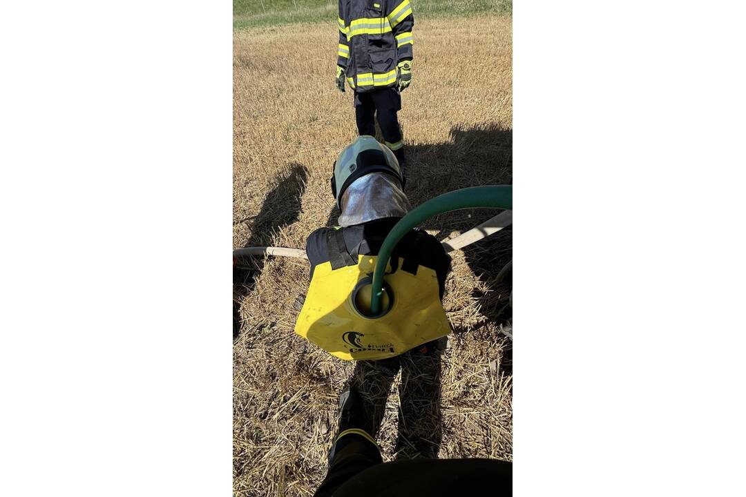 FOTO:  V obci Petrovany došlo k požiaru suchého porastu, foto 3