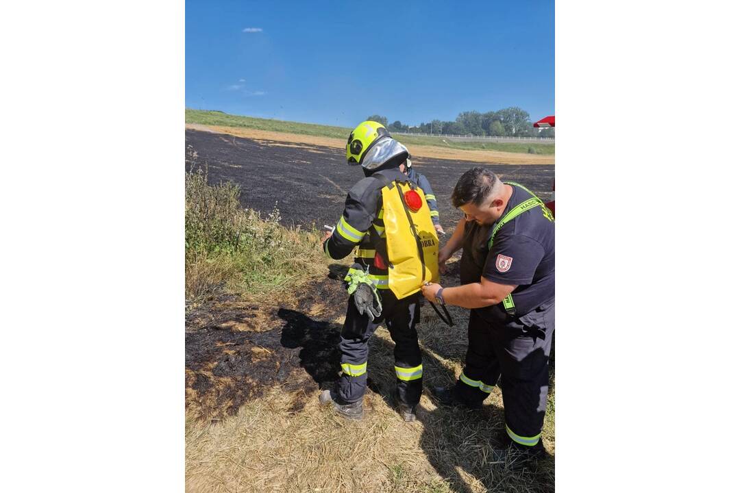 FOTO:  V obci Petrovany došlo k požiaru suchého porastu, foto 6