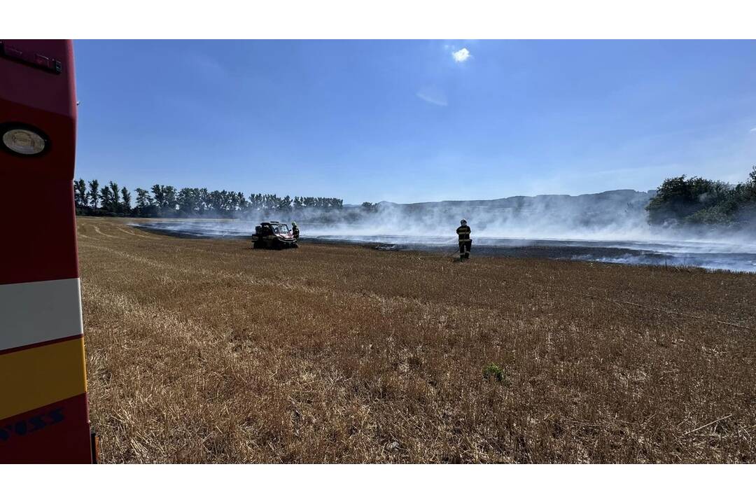 FOTO:  V obci Petrovany došlo k požiaru suchého porastu, foto 7