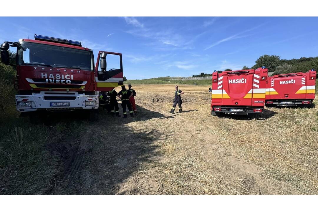 FOTO:  V obci Petrovany došlo k požiaru suchého porastu, foto 8