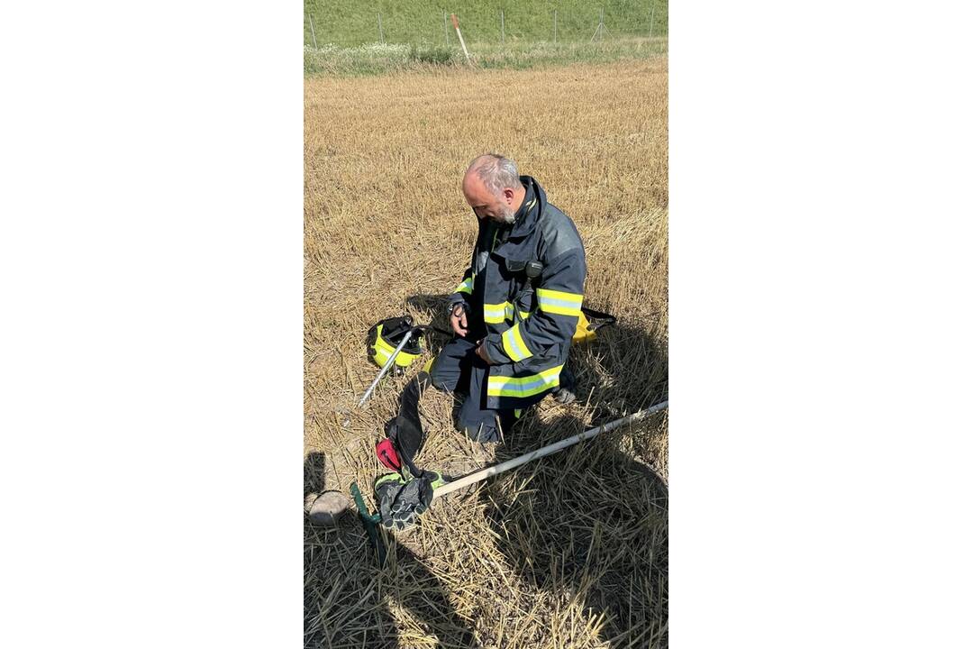 FOTO:  V obci Petrovany došlo k požiaru suchého porastu, foto 9