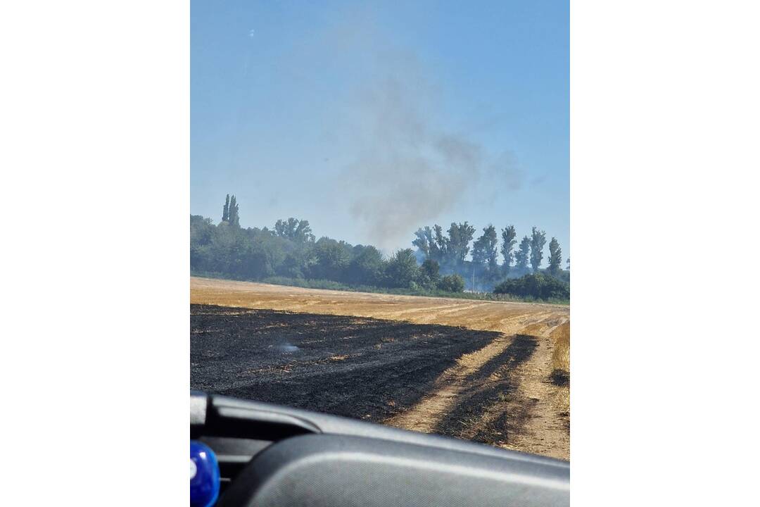 FOTO:  V obci Petrovany došlo k požiaru suchého porastu, foto 10