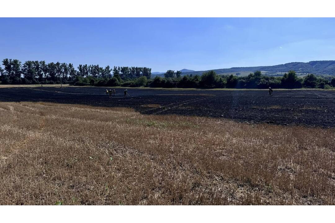 FOTO:  V obci Petrovany došlo k požiaru suchého porastu, foto 11