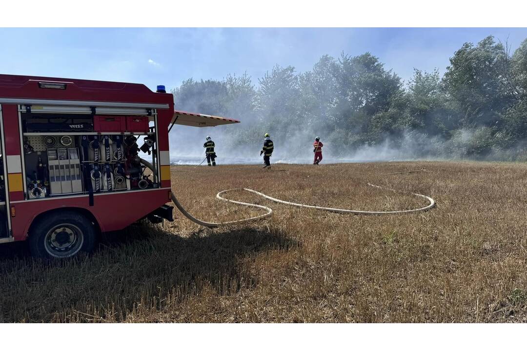 FOTO:  V obci Petrovany došlo k požiaru suchého porastu, foto 12
