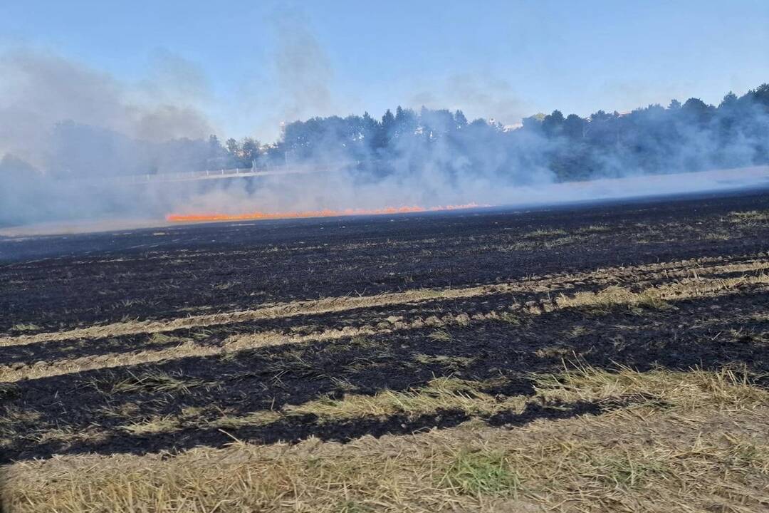 FOTO:  V obci Petrovany došlo k požiaru suchého porastu, foto 13