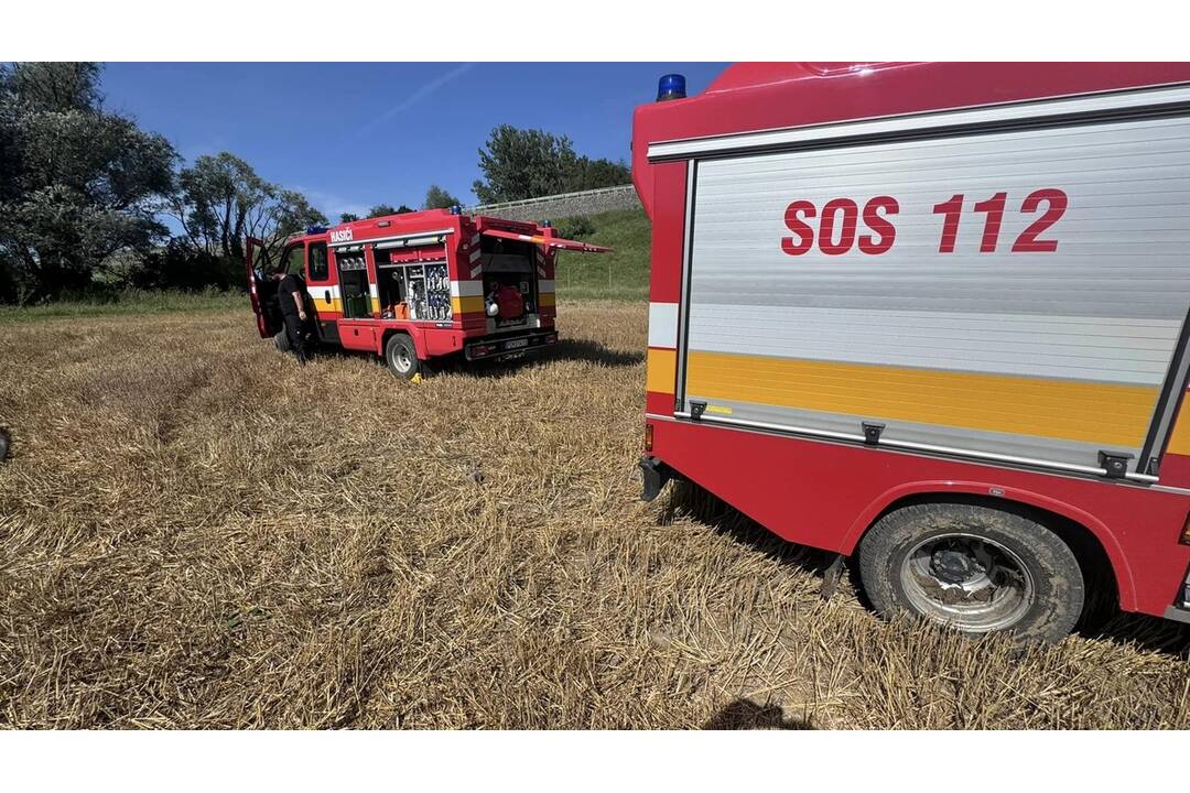 FOTO:  V obci Petrovany došlo k požiaru suchého porastu, foto 14