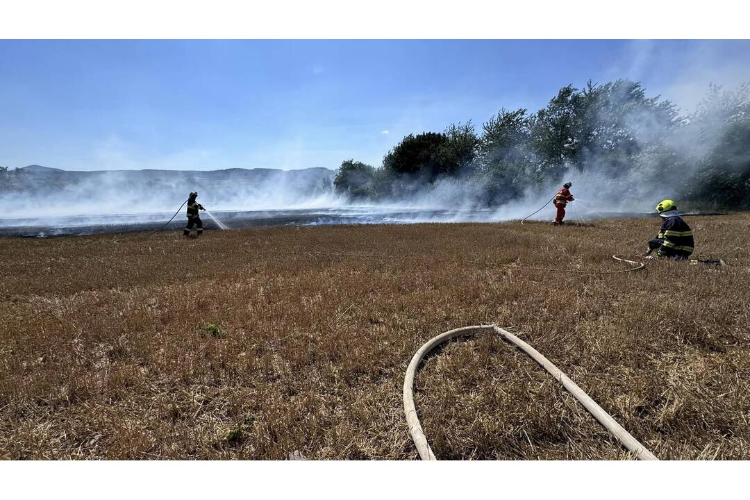 FOTO:  V obci Petrovany došlo k požiaru suchého porastu, foto 16