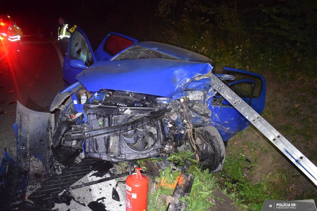 FOTO: Hrozivá dopravná nehoda pri Stakčíne, foto 3