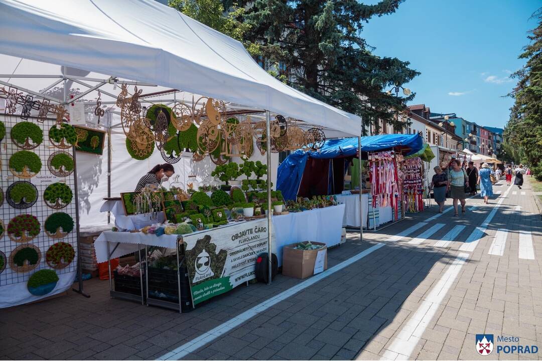 FOTO: V Poprade prebieha už 12. ročník festivalu Made in Slovakia, foto 6