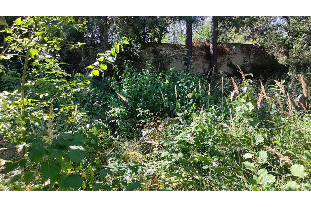 FOTO: Židovský cintorín v Spišskom Podhradí prešiel úpravami, foto 6