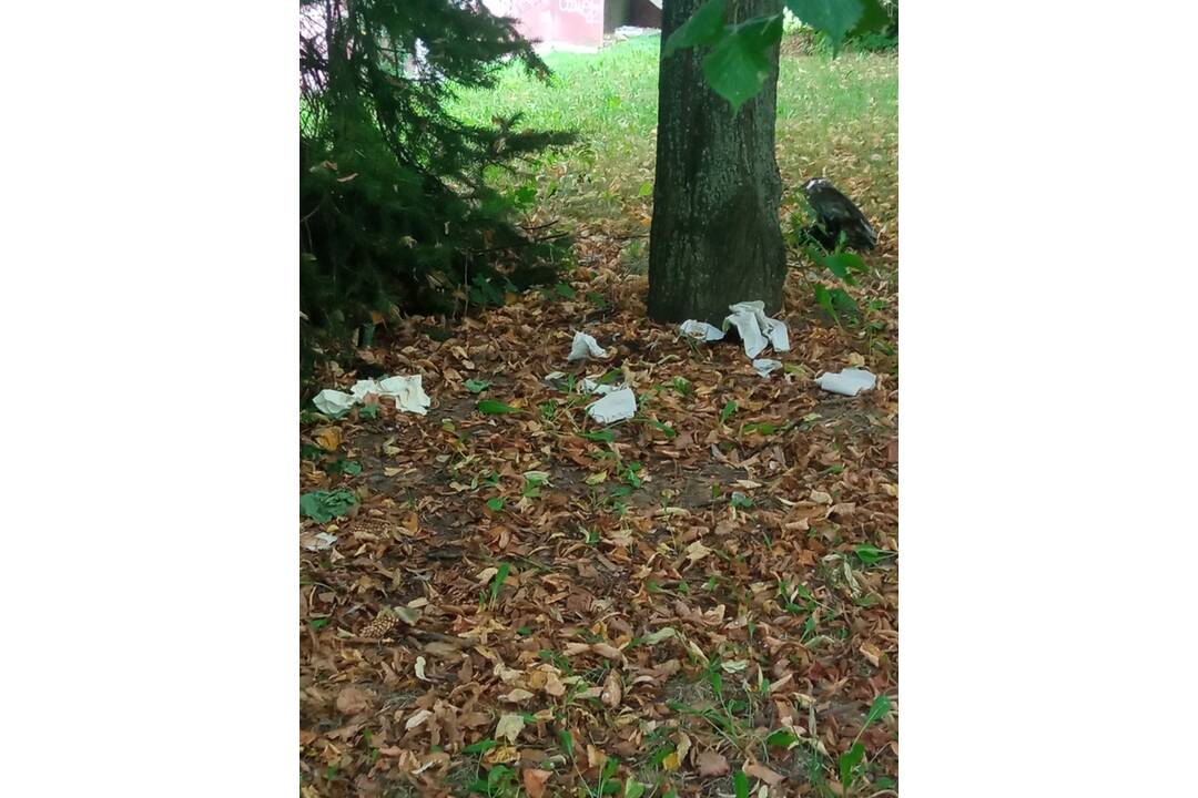 FOTO: Odpadky, fľaše a výkaly na detskom ihrisku v Poprade, foto 4
