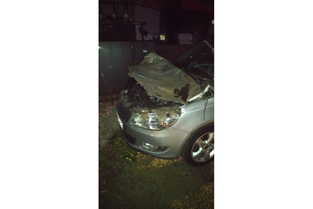 FOTO: Zrážka osobného auta a jeleňa medzi Štrbou a Lučivnou, foto 1