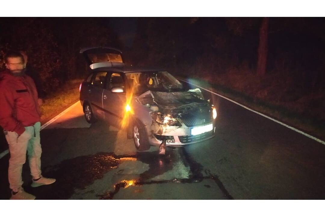 FOTO: Zrážka osobného auta a jeleňa medzi Štrbou a Lučivnou, foto 2