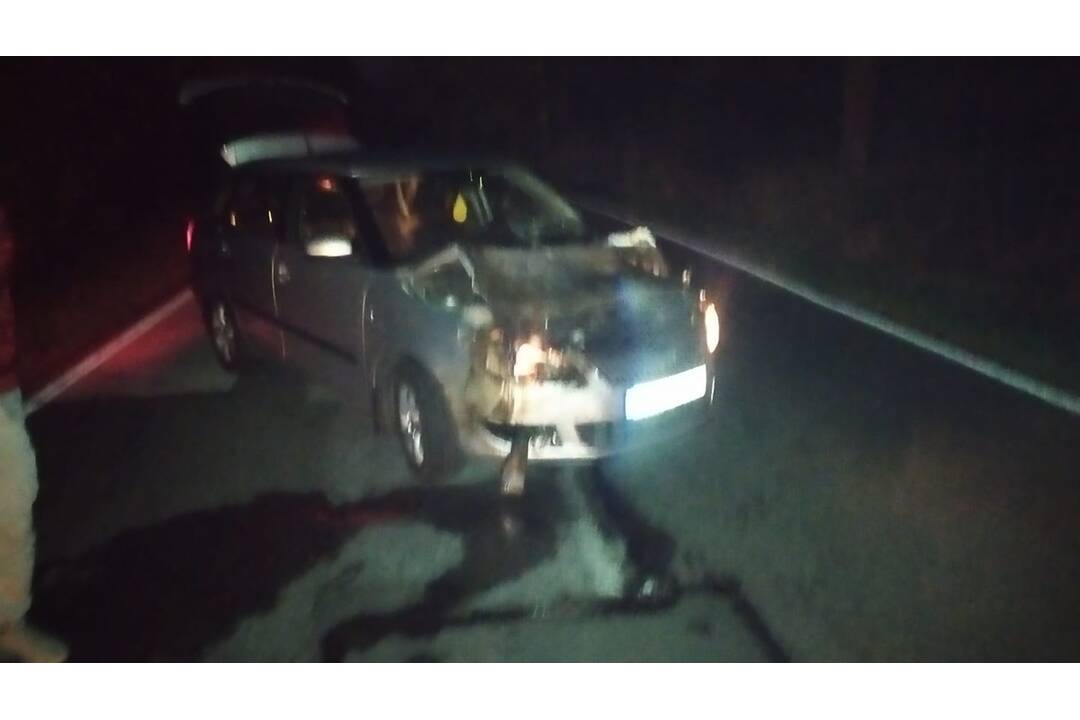 FOTO: Zrážka osobného auta a jeleňa medzi Štrbou a Lučivnou, foto 3