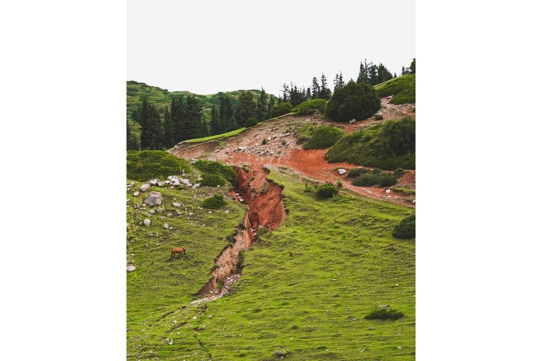 FOTO: Na rok vymenili komfort za dodávku, foto 7