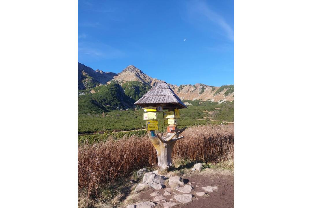 FOTO: V Tatrách prebehlo jesenné sčítanie kamzíkov, foto 12