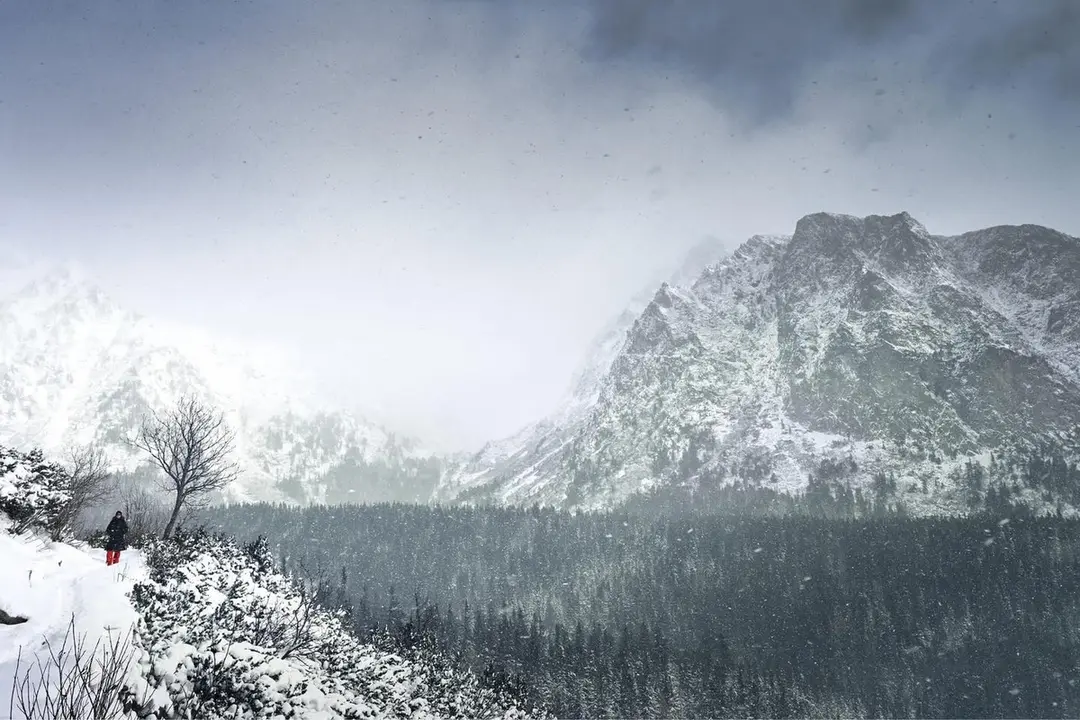 FOTO: Fotograf Andrej zachytil nádhernú zimu v Tatrách, foto 10