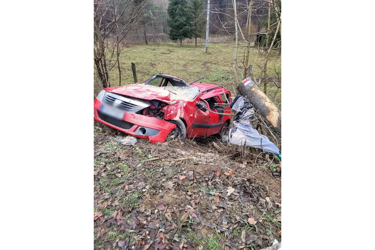 FOTO: Pri dopravnej nehode v Cemjate narazilo auto do stromu, foto 1