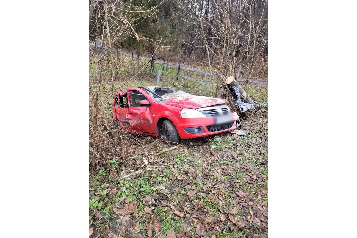 FOTO: Pri dopravnej nehode v Cemjate narazilo auto do stromu, foto 3
