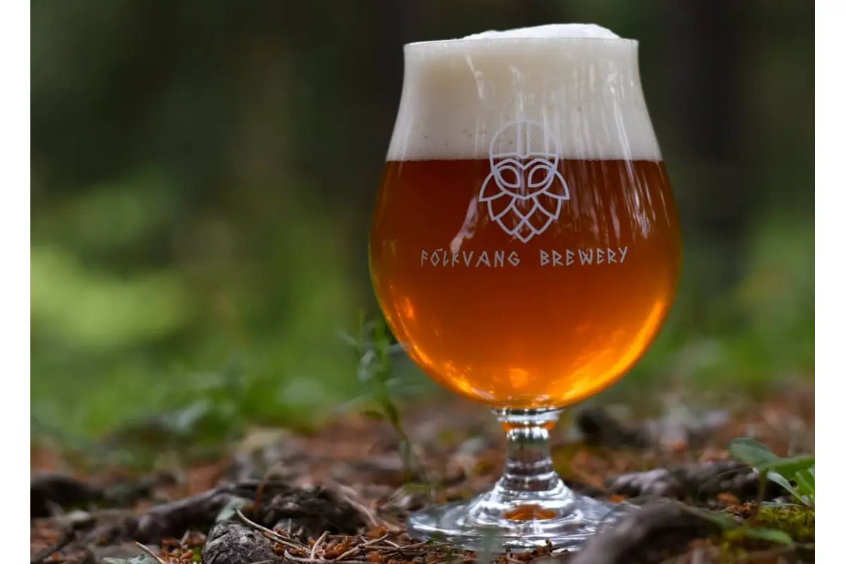 FOTO: Z Popradu na šíre moria: Námorník, ktorý varí vikingské pivo, foto 15