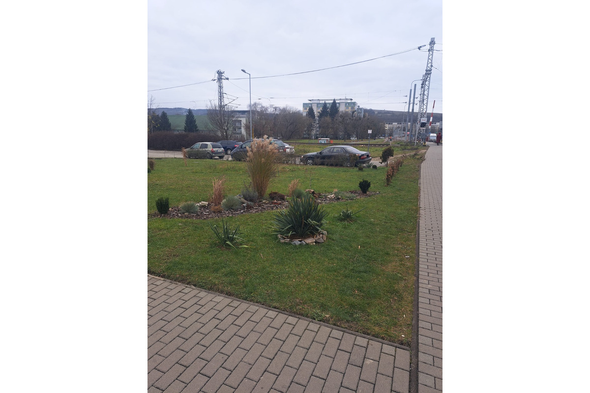 FOTO: Prešovčania si skrášlili okolie bytovky, foto 4