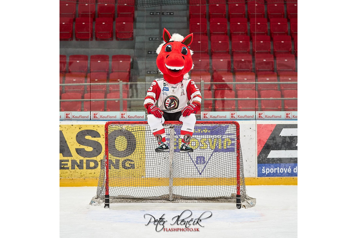 FOTO: Maskot Preško je opäť doma, foto 5