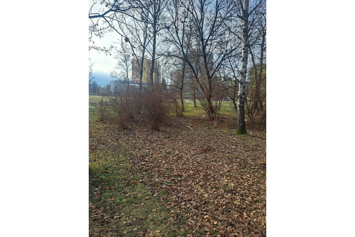 FOTO: Aktivisti a mesto spojili sily: Brehy Torysy sa konečne dočkali údržby, foto 12