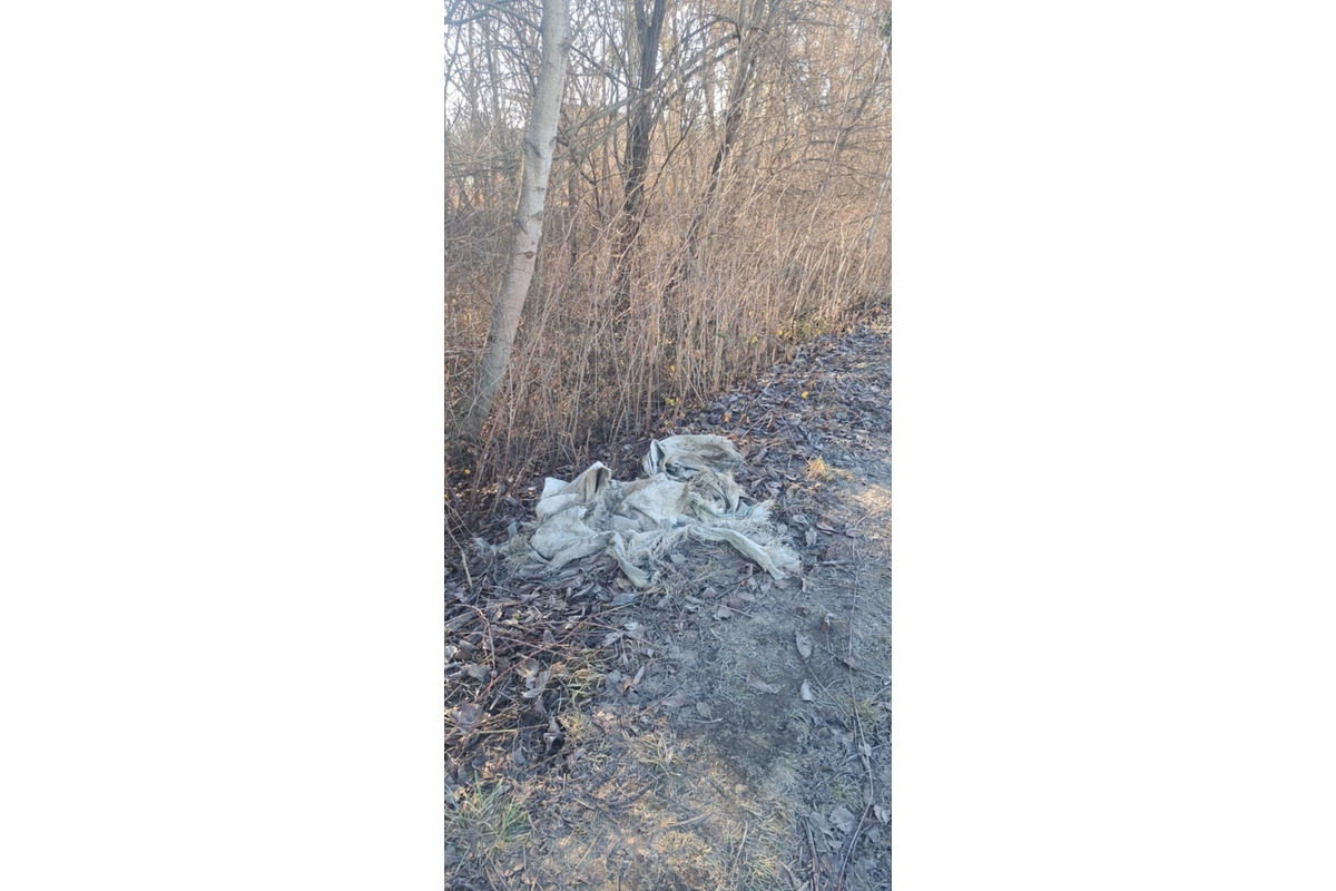 FOTO: Nekonečný príbeh nelegálnych skládok v Prešove pokračuje, foto 4