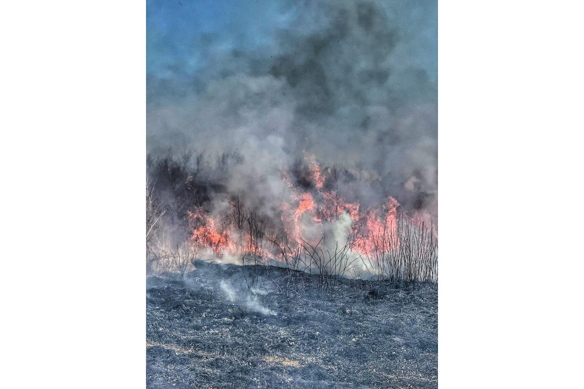 FOTO: Pri Stráňach pod Tatrami opäť horel lesný porast, foto 2