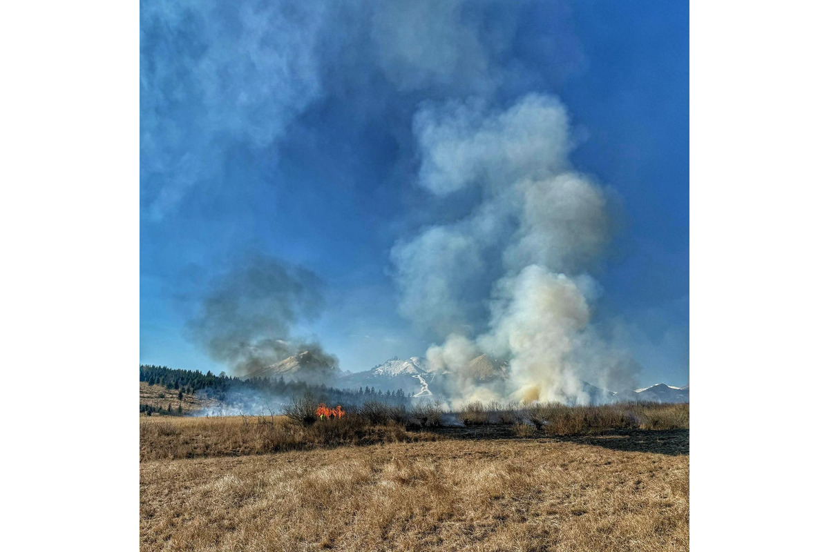 FOTO: Pri Stráňach pod Tatrami opäť horel lesný porast, foto 5