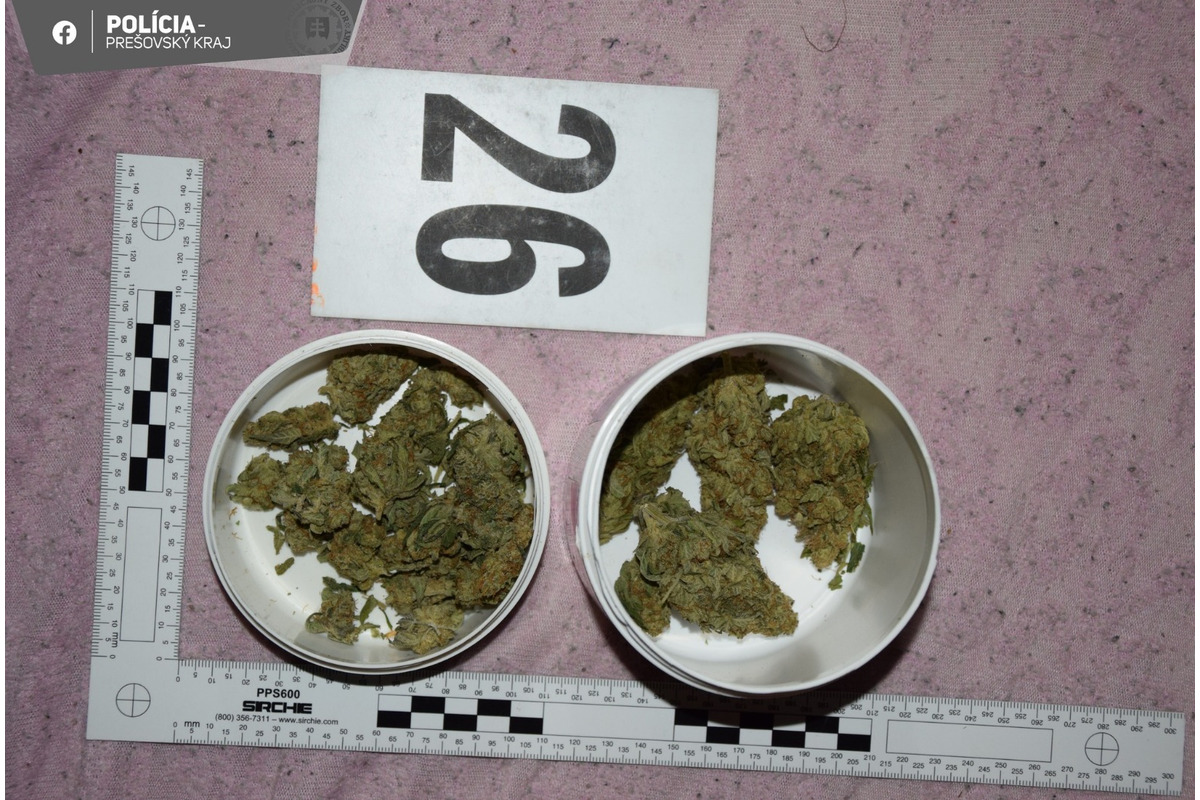 VIDEO: Polícia vyrazila dvere dílerovi vo Vranove, našli množstvo drog, foto 3