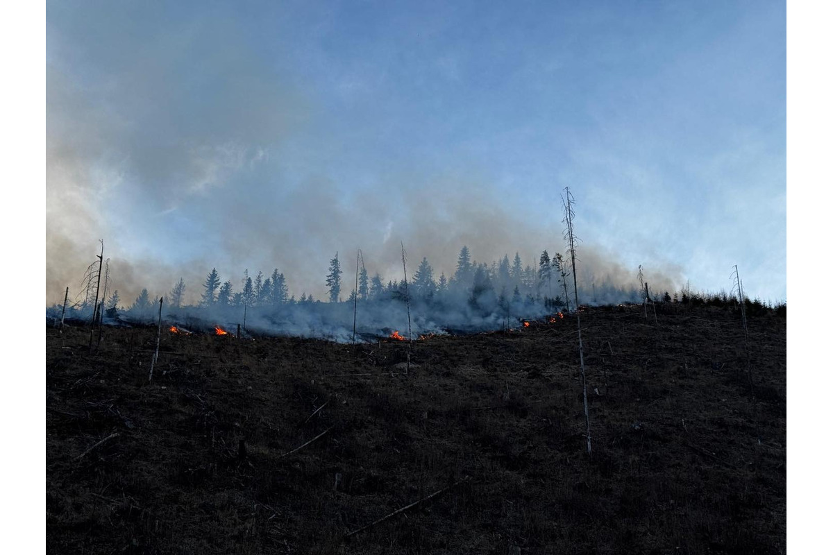 FOTO: Následky lesného požiaru v katastri obce Spišská Teplica, foto 1