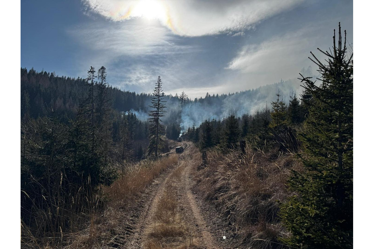 FOTO: Následky lesného požiaru v katastri obce Spišská Teplica, foto 2