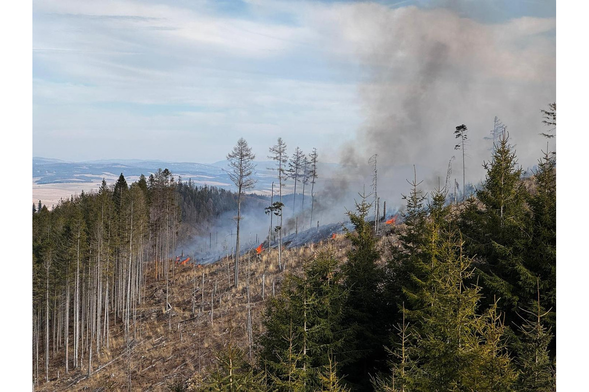 FOTO: Následky lesného požiaru v katastri obce Spišská Teplica, foto 3