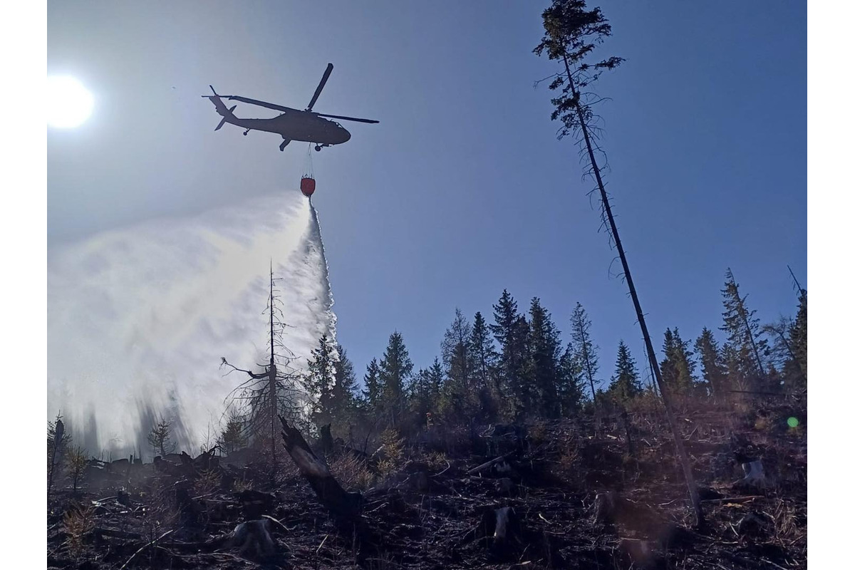 FOTO: Následky lesného požiaru v katastri obce Spišská Teplica, foto 5