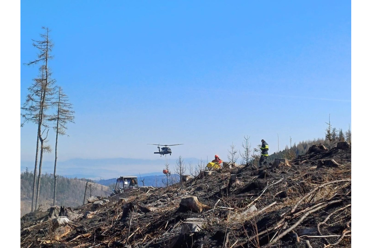FOTO: Následky lesného požiaru v katastri obce Spišská Teplica, foto 6